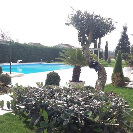 فيلا Agriturismo Sant' Isidoro أناني المظهر الخارجي الصورة